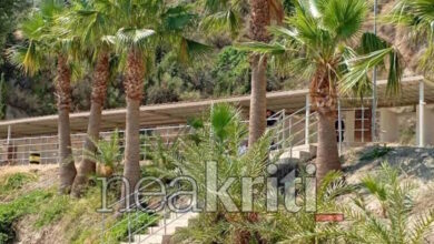 Πέθανε-η-γυναίκα-που-αυτοπυροβολήθηκε-στο-σκοπευτήριο-του-Μαλεβιζίου:-«Μου-είπε-κάνε-πιο-πίσω-και-έστρεψε-το-όπλο-στον-εαυτό-της»