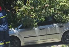 Ισχυροί-άνεμοι-έως-124-χλμ-στην-Αττική:-Δέντρο-καταπλάκωσε-όχημα-στη-Μιχαλακοπούλου,-πτώση-τοίχου-στο-Παγκράτι
