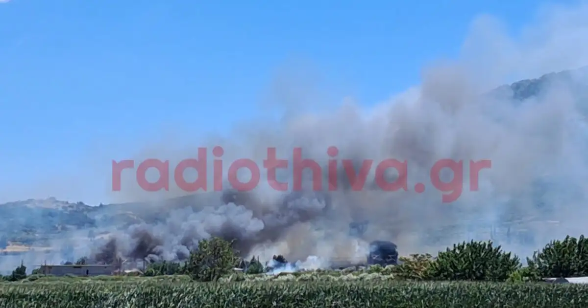 Φωτιά-στην-Πέτρα-Βοιωτίας-–-«Απομακρυνθείτε-προς-Λιβαδειά»-το-μήνυμα-του-112