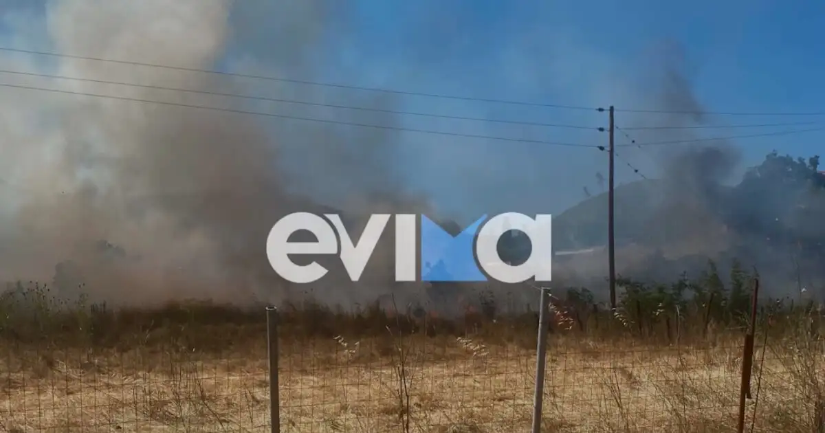 Φωτιά-στην-Εύβοια,-στην-περιοχή-Σπαθάρι:-Σηκώθηκαν-11-εναέρια-μέσα