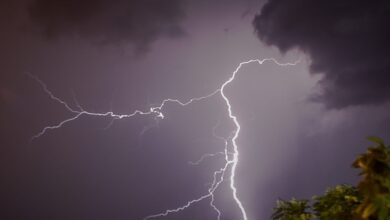 Κεραυνός-χτύπησε-δέντρο-σε-πάρκο-στη-Σουηδία-–-Αρκετοί-τραυματίες-ανάμεσά-τους-και-παιδιά