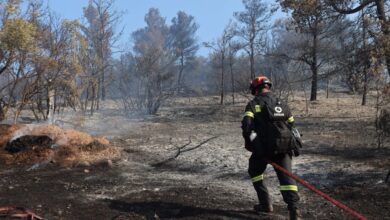Πρόστιμο-3.000-ευρώ-σε-ηλικιωμένο-που-άναψε-ψησταριά-στη-Νέα-Μάκρη-–-44-πυρκαγιές-το-τελευταίο-24ωρο