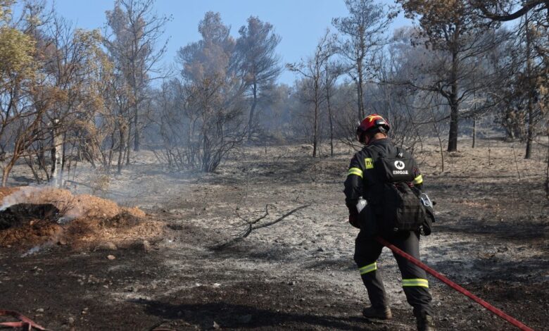 Πρόστιμο-3.000-ευρώ-σε-ηλικιωμένο-που-άναψε-ψησταριά-στη-Νέα-Μάκρη-–-44-πυρκαγιές-το-τελευταίο-24ωρο