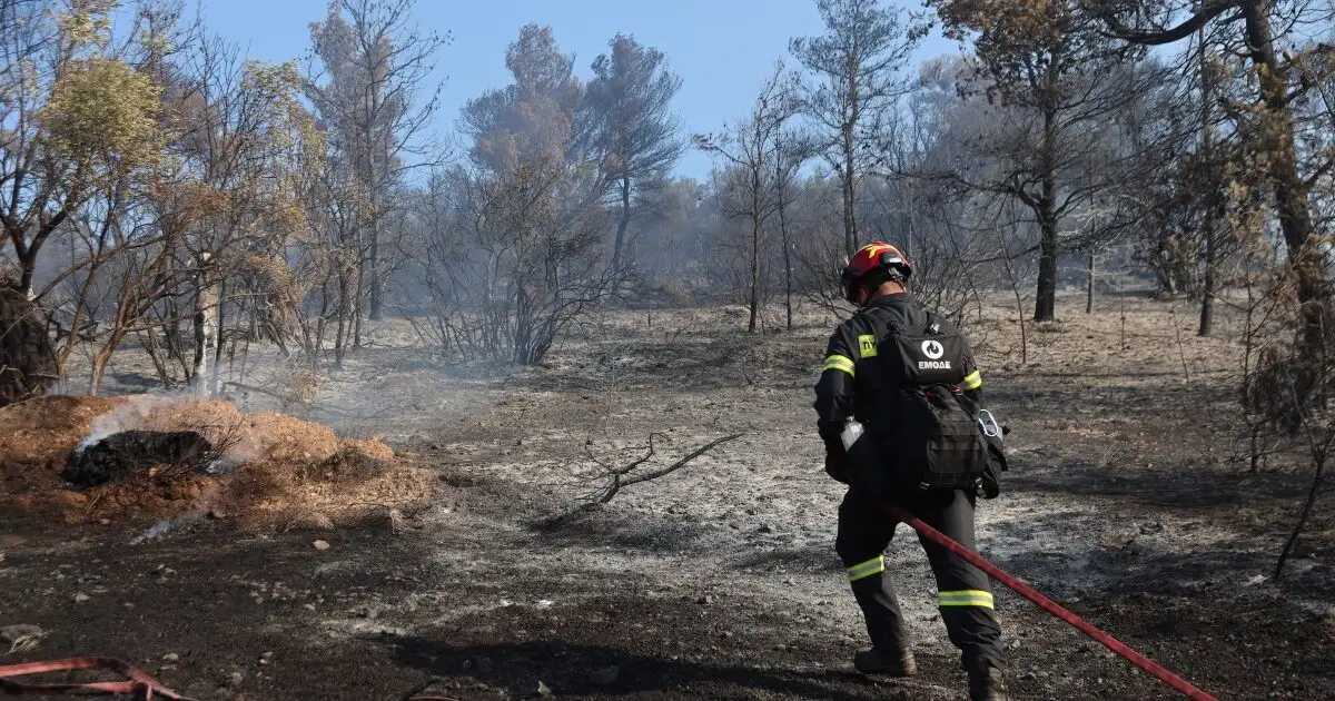 Πρόστιμο-3.000-ευρώ-σε-ηλικιωμένο-που-άναψε-ψησταριά-στη-Νέα-Μάκρη-–-44-πυρκαγιές-το-τελευταίο-24ωρο