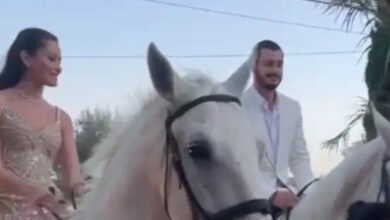 Μπάχι-Χούρι-–-Τάλια-Χαϊντάτ:-Παραμυθένιος-γάμος-στην-Αθήνα-με-λευκά-άλογα-και-πάρτι-με-την-Άννα-Βίσση-και-τον-Κωνσταντίνο-Αργυρό