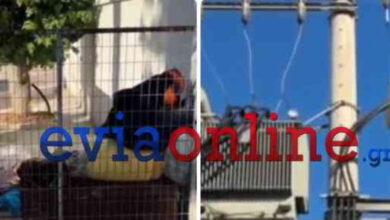Χαλκίδα:-Έκρηξη-σε-μετασχηματιστή-ρεύματος-άφησε-χωρίς-ηλεκτρισμό-πολλές-περιοχές
