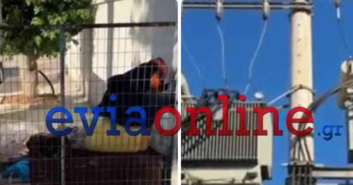 Χαλκίδα:-Έκρηξη-σε-μετασχηματιστή-ρεύματος-άφησε-χωρίς-ηλεκτρισμό-πολλές-περιοχές