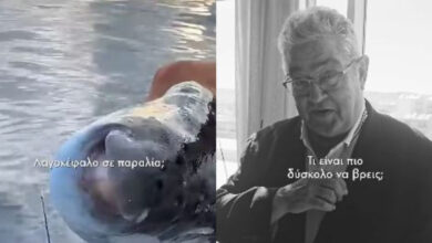 Κουτσούμπας-στο-tik-tok:-Τι-είναι-πιο-δύσκολο-να-βρεις,-λαγοκέφαλο-σε-παραλία-ή-σπίτι-κάτω-από-500-ευρώ;