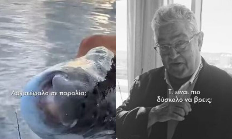 Κουτσούμπας-στο-tik-tok:-Τι-είναι-πιο-δύσκολο-να-βρεις,-λαγοκέφαλο-σε-παραλία-ή-σπίτι-κάτω-από-500-ευρώ;