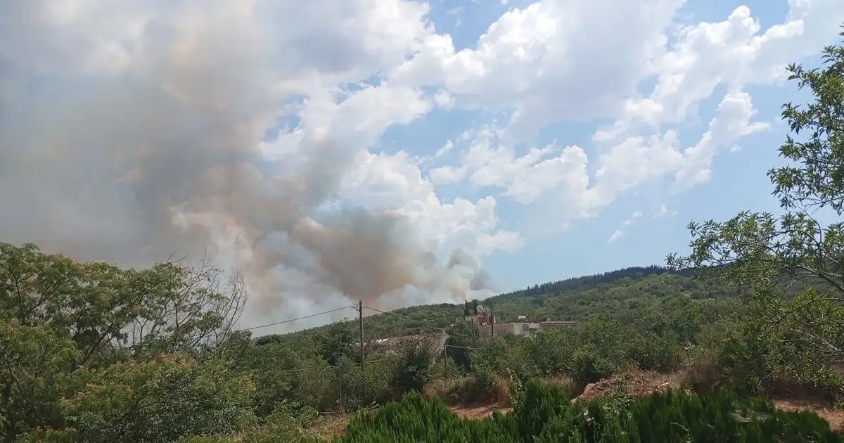 Φωτιά-στο-Δερβένι-Θεσσαλονίκης:-Καίει-ξερά-χόρτα