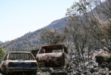 ΕΛΓΑ:-1,2-εκατ.-ευρώ-σε-441-δικαιούχους-για-τις-ζημιές-από-τις-φωτιές-του-2022