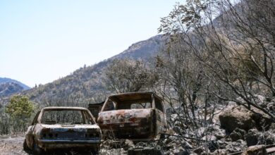 ΕΛΓΑ:-1,2-εκατ.-ευρώ-σε-441-δικαιούχους-για-τις-ζημιές-από-τις-φωτιές-του-2022