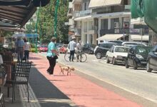 Τρίκαλα:-Σε-άδειο-δρόμο-«τράκαραν»-πεζός-και-ποδήλατο