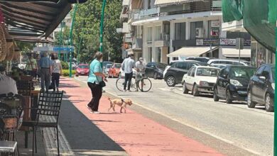 Τρίκαλα:-Σε-άδειο-δρόμο-«τράκαραν»-πεζός-και-ποδήλατο