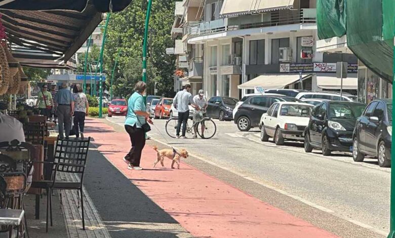 Τρίκαλα:-Σε-άδειο-δρόμο-«τράκαραν»-πεζός-και-ποδήλατο