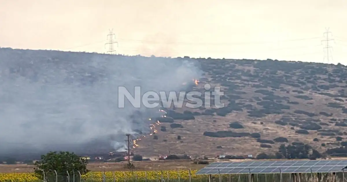 Φωτιά-στο-Καλαπόδι-Φθιώτιδας:-43χρονος-με-θεριζοαλωνιστική-μηχανή-συνελήφθη-για-πρόκληση-πυρκαγιάς-από-αμέλεια