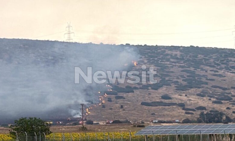 Φωτιά-στο-Καλαπόδι-Φθιώτιδας:-43χρονος-με-θεριζοαλωνιστική-μηχανή-συνελήφθη-για-πρόκληση-πυρκαγιάς-από-αμέλεια