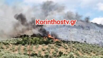 Φωτιά-στο-Σπαθοβούνι-Κορινθίας-–-Ήχησε-το-112-γα-ετοιμότητα