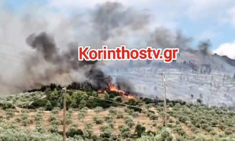 Φωτιά-στο-Σπαθοβούνι-Κορινθίας-–-Ήχησε-το-112-γα-ετοιμότητα
