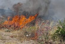 xειροπέδες-σε-άνδρα-στη-Φαρκαδόνα-–-Έβαλε-φωτιά-σε-υπολείμματα-καλλιεργειών