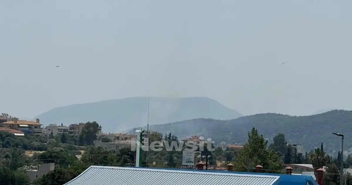 Φωτιά-στην-Παλλήνη:-Καίει-κοντά-σε-σπίτια-–-Ήχησε-το-112,-«παραμείνετε-σε-ετοιμότητα»