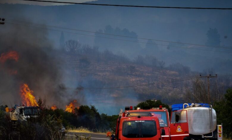 Γρεβενά:-Συνελήφθη-88χρονος-για-φωτιά-από-αμέλεια-κατά-τη-διάρκεια-εργασιών-με-τροχό