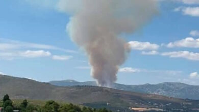Μεγάλη-φωτιά-στην-Οινόη:-Μήνυμα-του-112-για-ετοιμότητα,-ισχυρές-δυνάμεις-στο-σημείο
