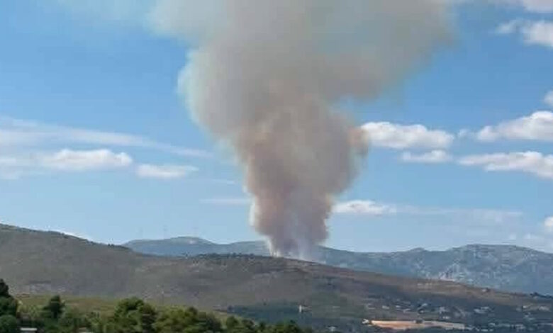 Μεγάλη-φωτιά-στην-Οινόη:-Μήνυμα-του-112-για-ετοιμότητα,-ισχυρές-δυνάμεις-στο-σημείο