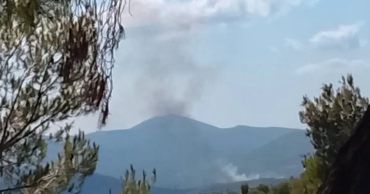 Φωτιά-στην-Οινόη:-Επιχειρούν-2-αεροσκάφη-και-1-ελικόπτερο