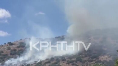 Κρήτη:-Μαίνονται-οι-φωτιές-–-Ενεργά-τρία-μέτωπα-σε-Γάζι,-Ιεράπετρα-και-Βιάννο