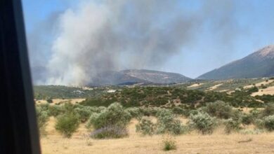 Φωτιά-στην-Αγία-Ελένη-Τροιζηνίας:-Χωρίς-ενεργό-μέτωπο,-οι-δυνάμεις-παραμένουν-στο-σημείο
