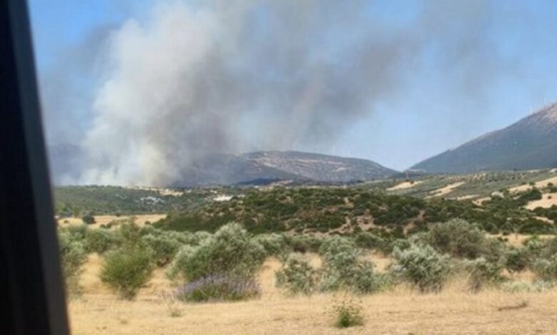 Φωτιά-στην-Αγία-Ελένη-Τροιζηνίας:-Χωρίς-ενεργό-μέτωπο,-οι-δυνάμεις-παραμένουν-στο-σημείο