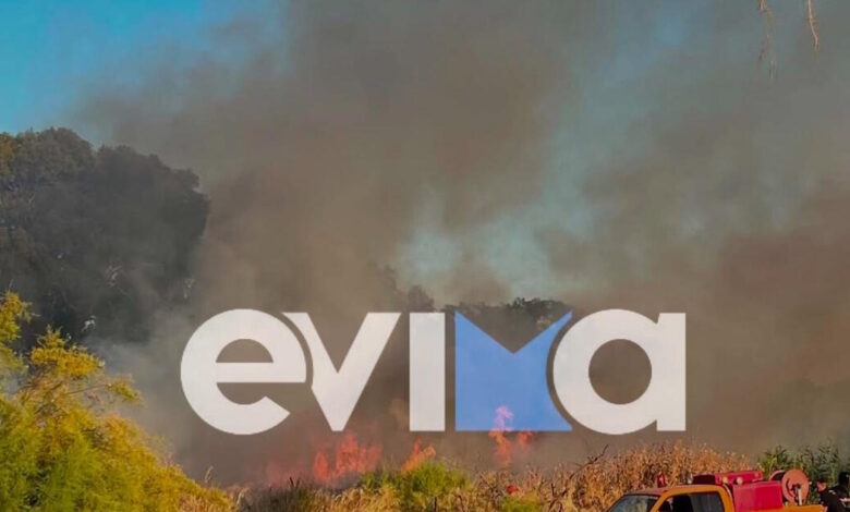 Εύβοια:-Συναγερμός-για-φωτιά-στην-Ερέτρια