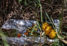Σοκ-με-δολοφονία-4χρονου-στην-Αυστραλία:-Μητέρα-σκότωσε-τον-γιο-της-–-Ερευνάται-για-κανιβαλισμό
