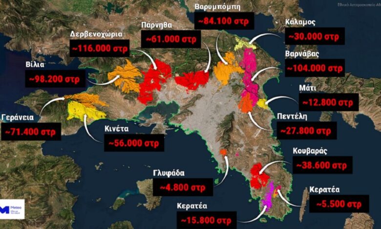 Το-38%-των-δασών-της-Αττικής-κάηκε-μέσα-στα-τελευταία-9-χρόνια