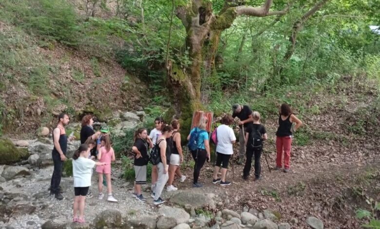 Πεζοπορία-στον-Γάβρο-με-μάθημα-για-τη-φύση