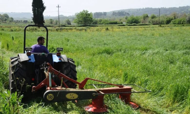 Ο-ΕΛΓΑ-έδωσε-αποζημιώσεις-13,8-εκατ-ευρώ-σε-9.634-παραγωγούς-για-ζημίες-του-2025