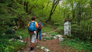 Από-το-γυμναστήριο-στο-μονοπάτι-–-Η-κίνηση-στη-φύση-τρόπος-ζωής 