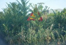 Ελλοχεύει-κίνδυνος…-Κρυφά-σήματα,-φανερές-παραλείψεις