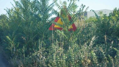 Ελλοχεύει-κίνδυνος…-Κρυφά-σήματα,-φανερές-παραλείψεις