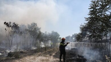 Μαραθώνας:-Σύλληψη-21χρονης-που-έβαζε-επίτηδες-φωτιές-σε-ξερά-χόρτα-–-Κατηγορείται-για-εμπρησμό-από-πρόθεση
