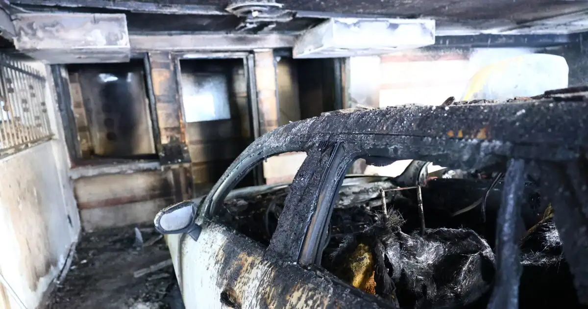 Θεσσαλονίκη:-Στον-εισαγγελέα-σήμερα-οι-3-συλληφθέντες-για-τη-δολοφονία-της-Βάγιας-Νέστορα-–-Πώς-οι-Αρχές-έφτασαν-στα-ίχνη-τους