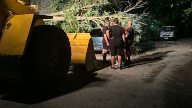 Σοβαρές-ζημιές-άφησε-πίσω-της-η-κακοκαιρία-στη-Φαρκαδόνα-–-Προβλήματα-σε-σπίτια,-στάβλους-και-εγκαταστάσεις
