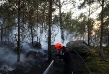 Γαλλία:-Εφιαλτική-νύχτα-στο-δάσος-του-Φοντενεμπλό,-στάχτη-12.000-στρέμματα-–-59-συλλήψεις-για-εμπρησμούς