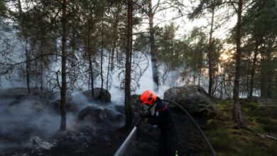 Γαλλία:-Εφιαλτική-νύχτα-στο-δάσος-του-Φοντενεμπλό,-στάχτη-12.000-στρέμματα-–-59-συλλήψεις-για-εμπρησμούς