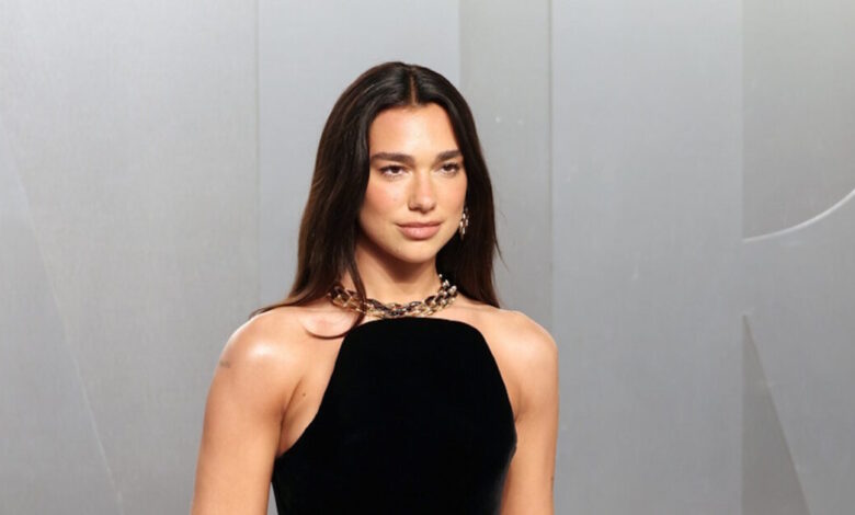 dua-lipa:-Στηρίζει-την-«επανάσταση-των-φλαμίνγκο»-και-τις-διαδηλώσεις-κατά-των-σχεδιών-Κούσνερ-στην-Αλβανία