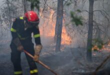 Γαλλία:-Έξι-συλλήψεις-για-τη-φωτιά-στο-Φοντενεμπλό-–-Ανάμεσά-τους-και-ένας-εθελοντής-πυροσβέστης