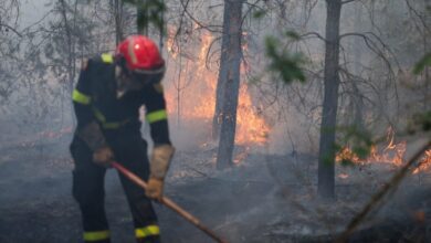 Γαλλία:-Έξι-συλλήψεις-για-τη-φωτιά-στο-Φοντενεμπλό-–-Ανάμεσά-τους-και-ένας-εθελοντής-πυροσβέστης