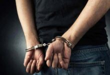 Σύλληψη-69χρονου-για-δενδρύλλια-κάνναβης-στην-αυλή-του