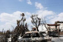 Φωτιά-στην-Ισπανία:-45.000-στρέμματα-έγιναν-στάχτη-κοντά-στη-Σαραγόσα-–-«Θα-χρειαστούν-μέρες-για-να-τεθεί-υπό-έλεγχο»